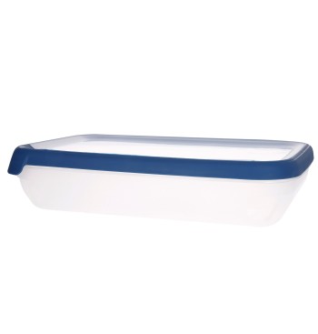 Curver Recipiente hermético rectangular (2,6L)