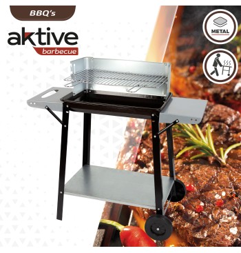 Barbacoa carbón portátil con parrilla 4 alturas 2