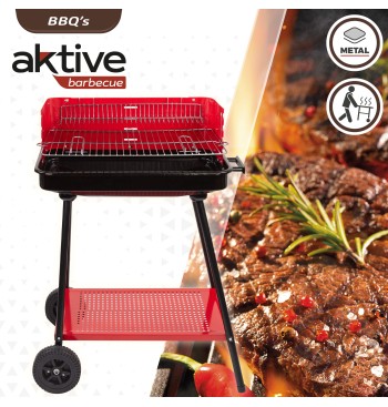 Barbacoa carbón portátil para 4 niveles 2