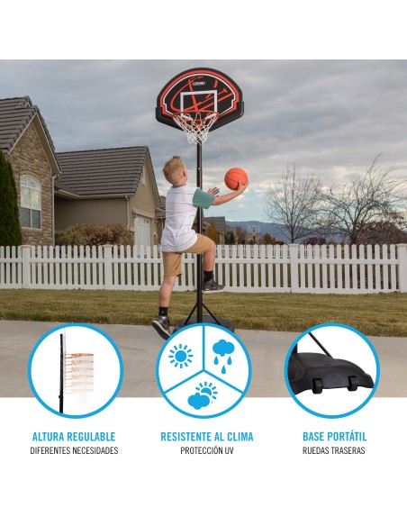 Lifetime Canasta baloncesto ultrarresistente altura regulable 165-222 cm