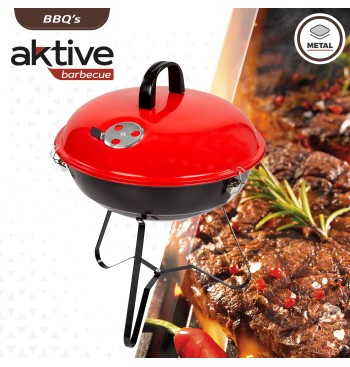 Barbacoa carbón con tapa 2