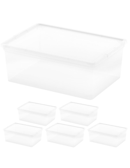 Curver Pack 6 cajas almacenaje 11 litros 37x26x14 cm