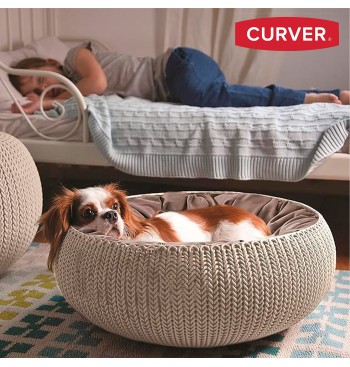 Curver Cama para mascotas con cojín acolchado 2