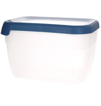 Curver Recipiente hermético rectangular (2,4L)