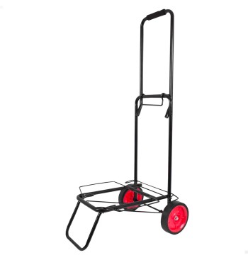 Carro playa plegable 35x45x100 cm